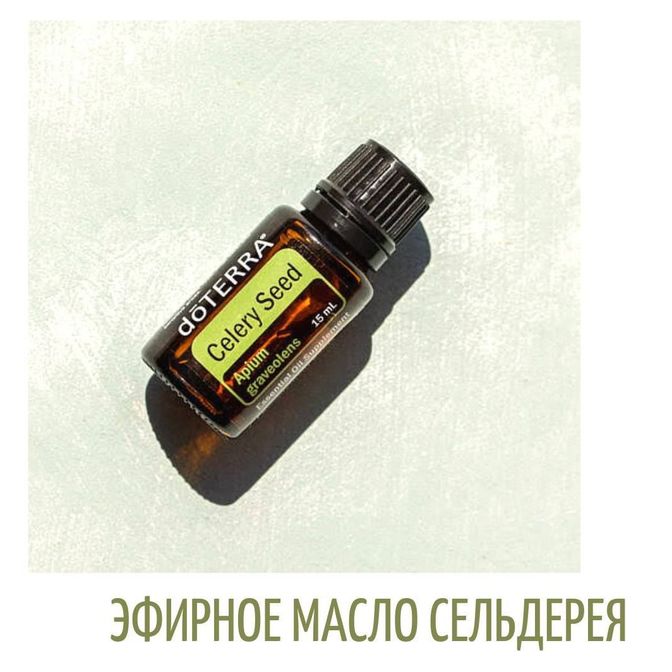 Купить Сельдерей