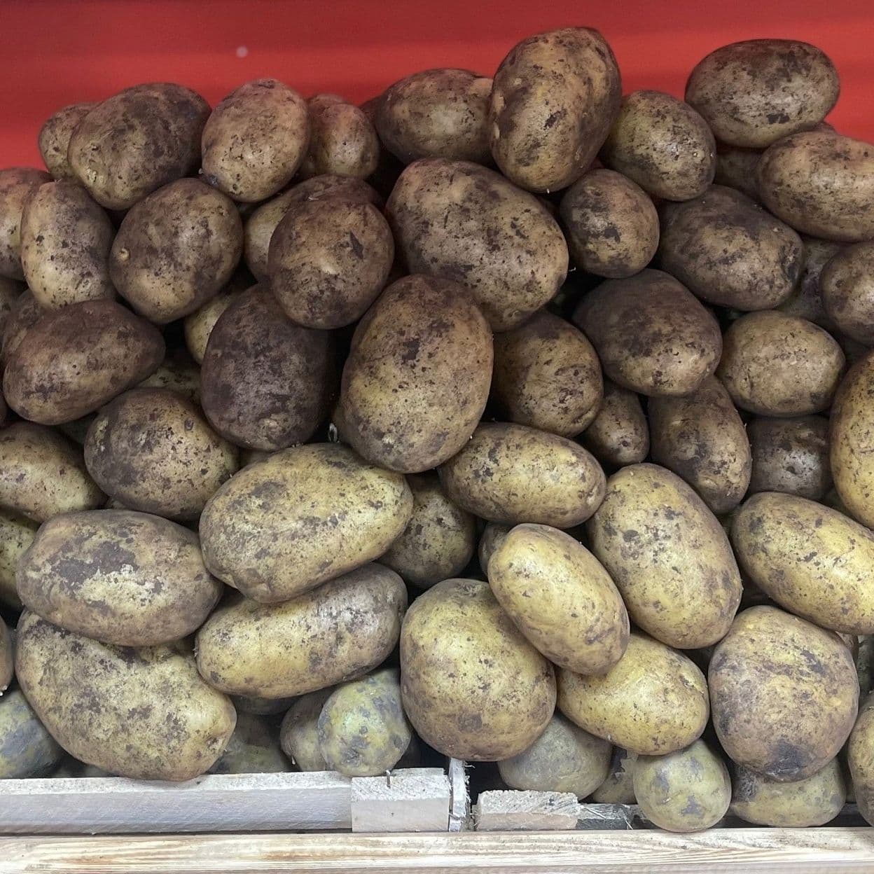 Купить Картофель белый