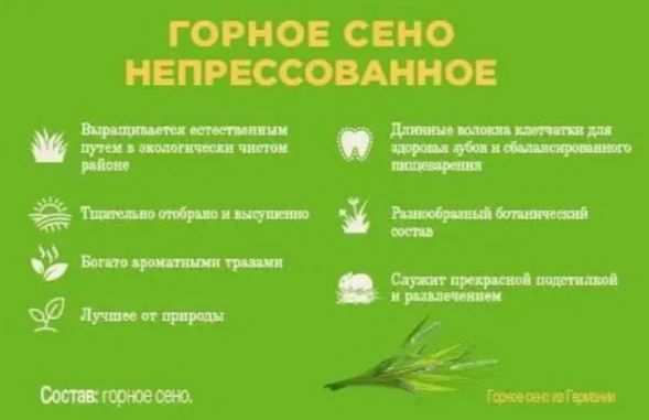 Купить Little One Горное сено 1 кг