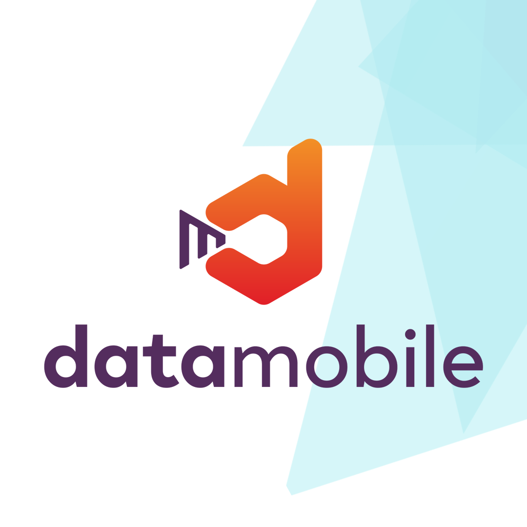 Купить DataMobile Online Lite 6 мес
