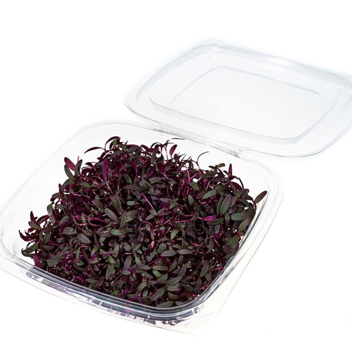 Купить Амарант