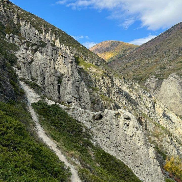 Купить В долину Чулышман