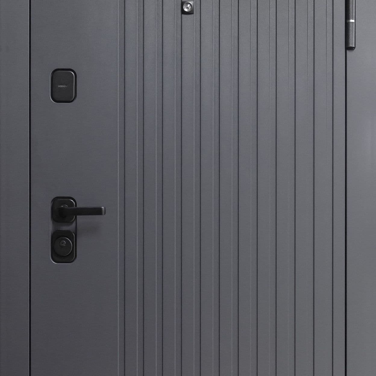 Купить Дверь входная "ТАЙГА 9" зеркало, Феррони