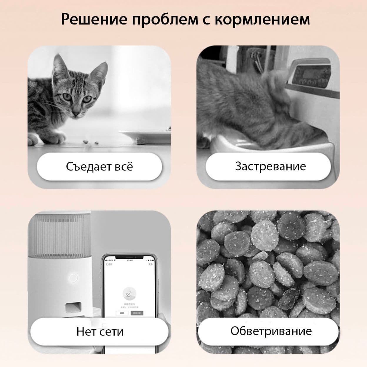 Купить Автокормушка на две секции "Эконом"