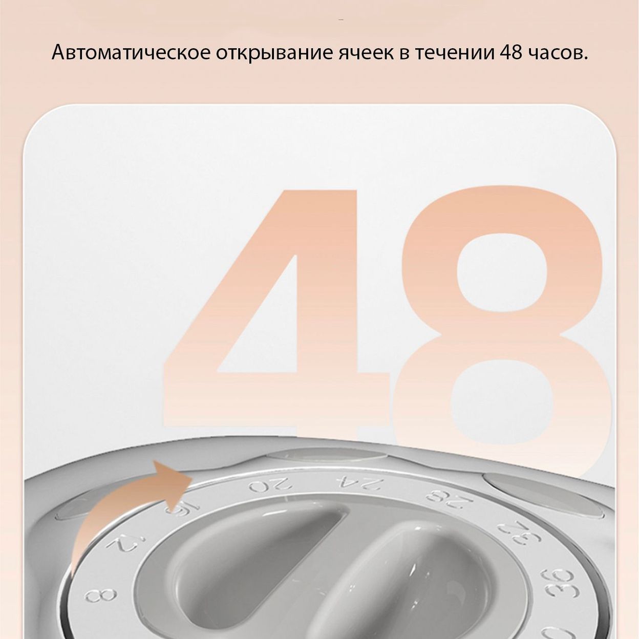 Купить Автокормушка на две секции "Эконом"