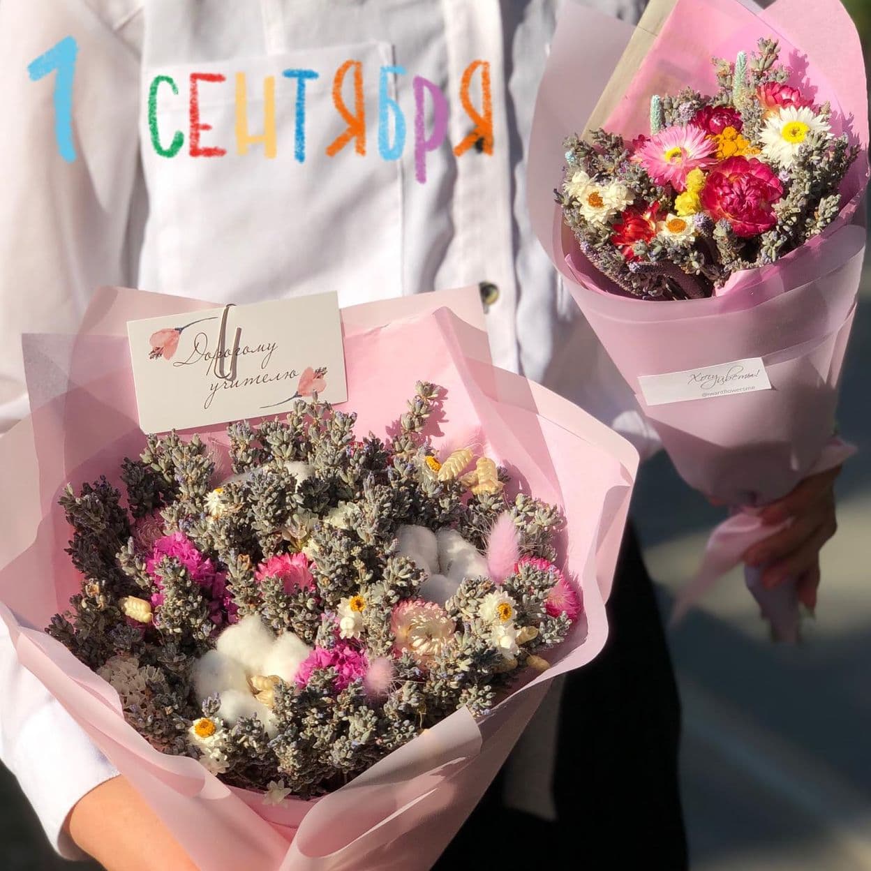 Купить 1 сентября