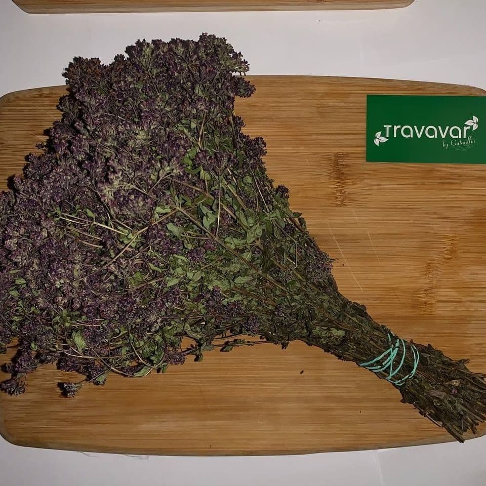 Купить Душица (Орегано, Матрешка)