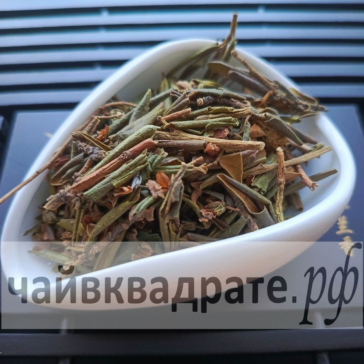 Купить Саган-Дайля