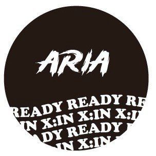 Купить Именные значки Ready X:IN