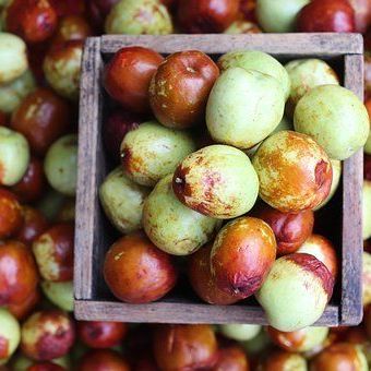 Зизифус оптом из Грузии