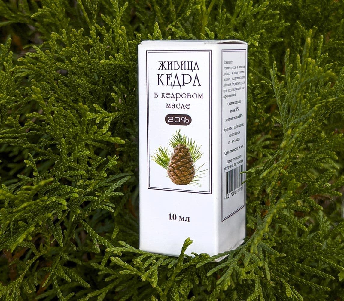 Купить ЖИВИЦА кедра в кедровом масле 20%, 10мл