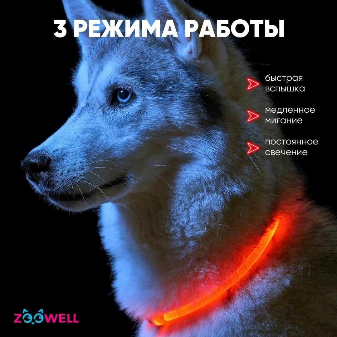 Купить Ошейник светящийся для собак LED, 55 см красный , ZOOWELL с регулируемой длиной