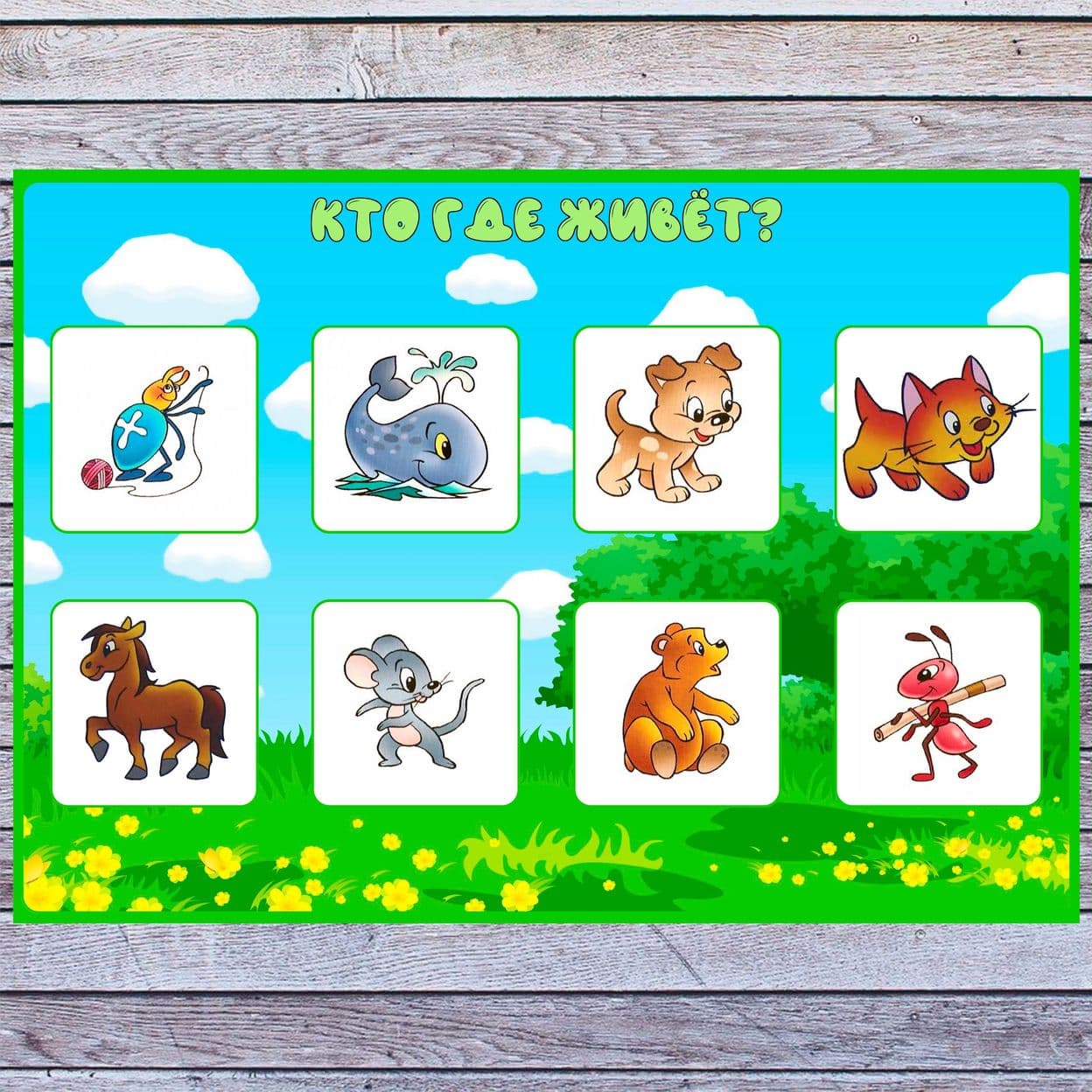 Купить Кто где живёт?
