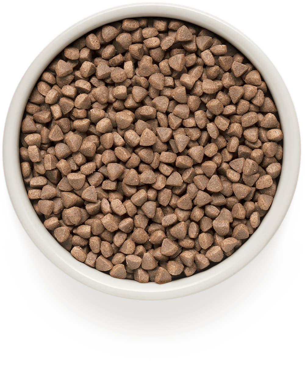 Купить GRANDORF Indoor сухой корм для домашних кошек, с проблемной кожей и шерстью или склонных к аллергии, с белой рыбой и индейкой 400гр