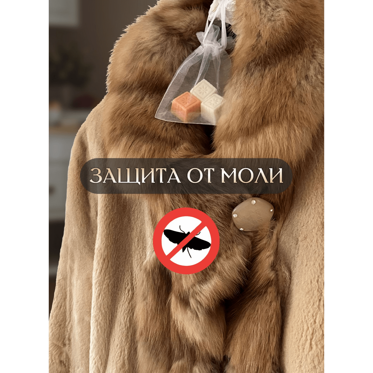 Купить Саше ЛАВАНДА