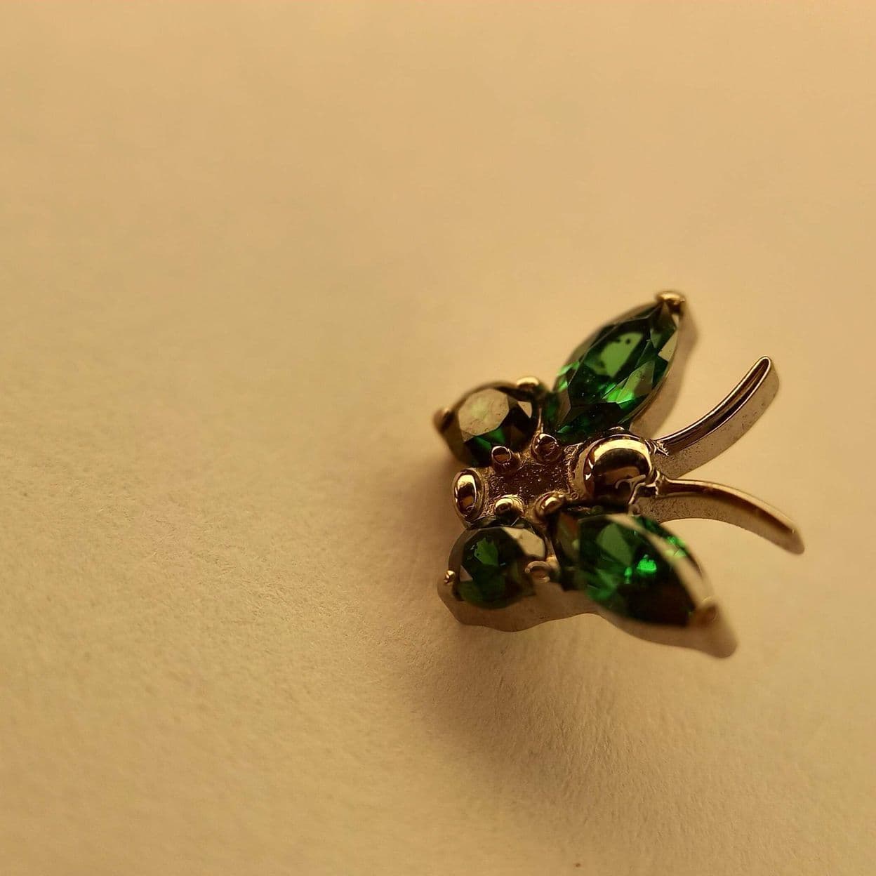 Купить Бабочка Галатея