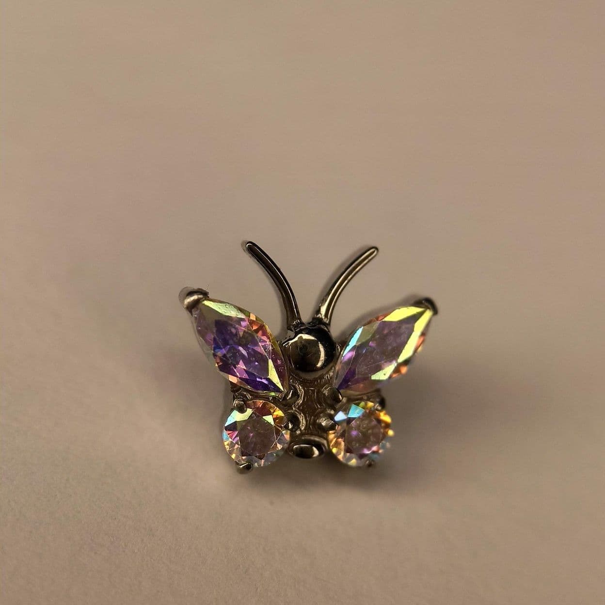 Купить Бабочка Галатея