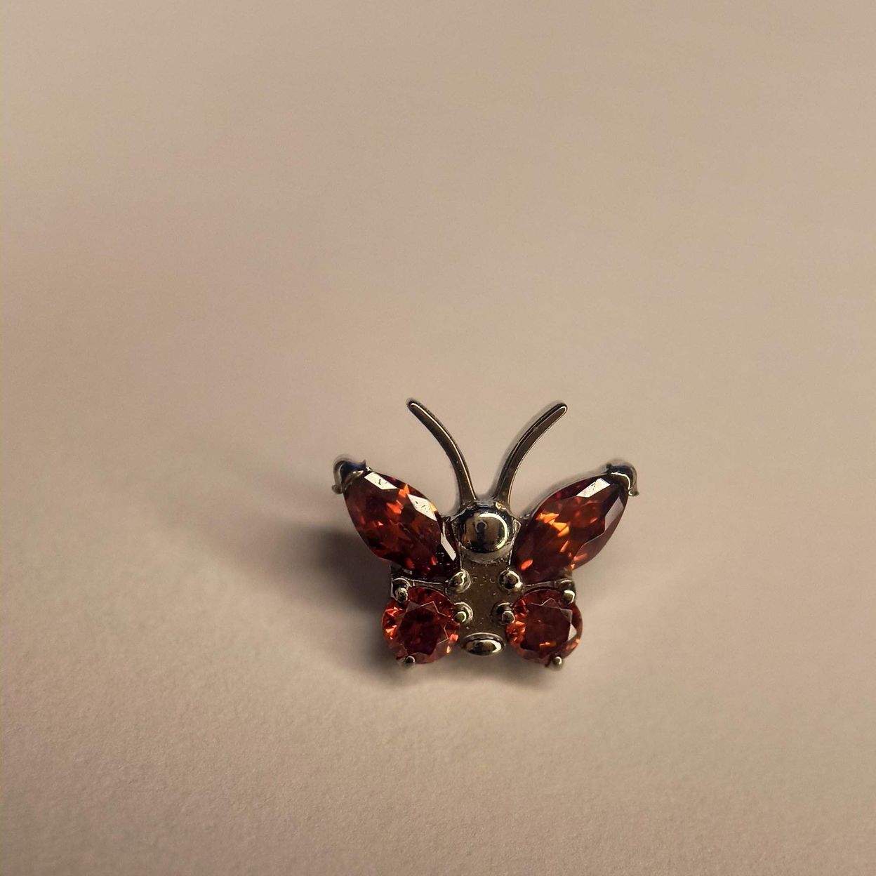 Купить Бабочка Галатея