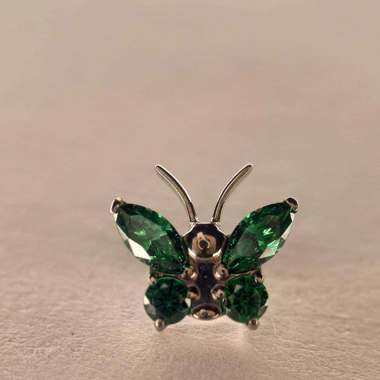 Купить Бабочка Галатея