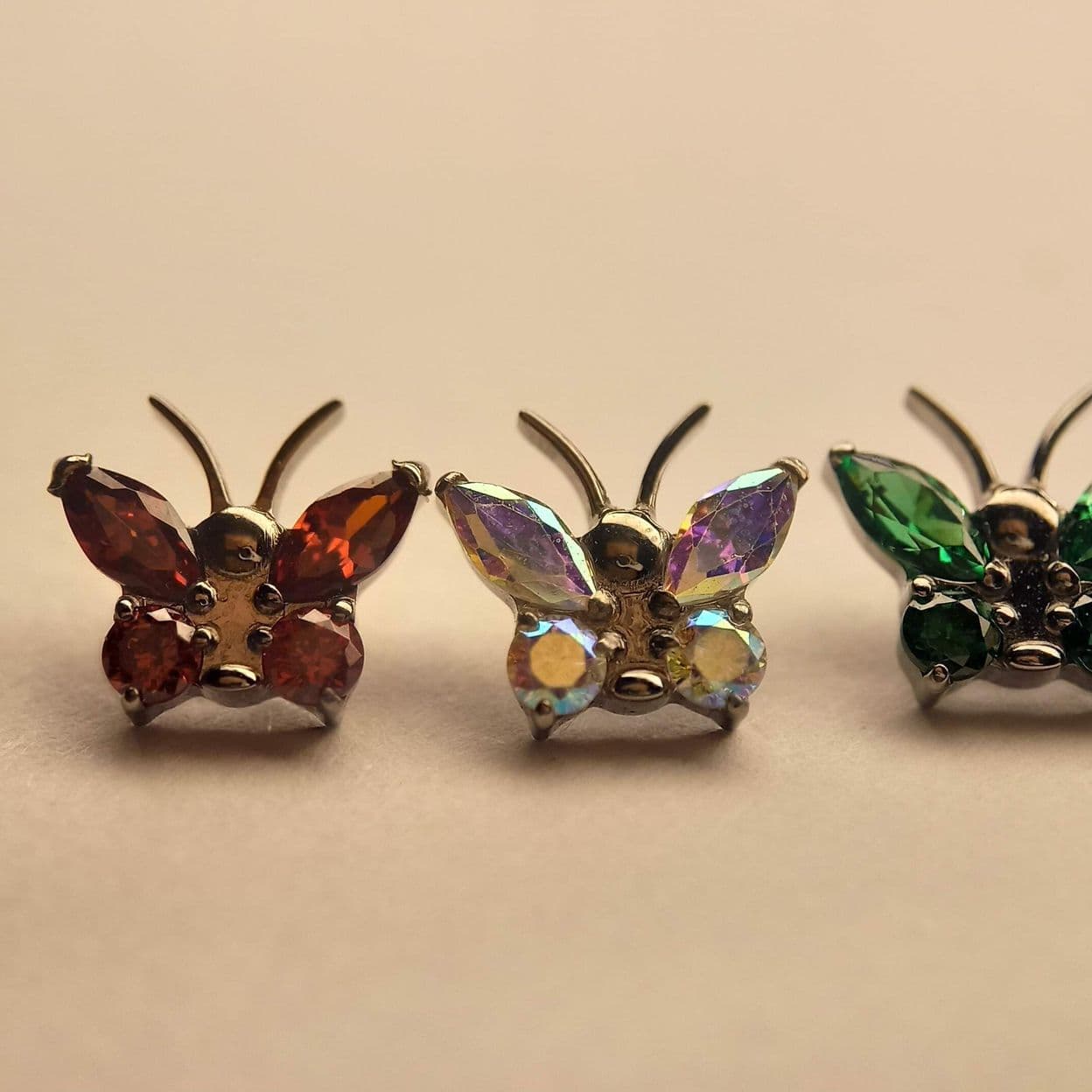 Купить Бабочка Галатея