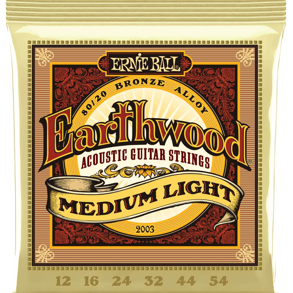 Купить Ernie Ball 2003