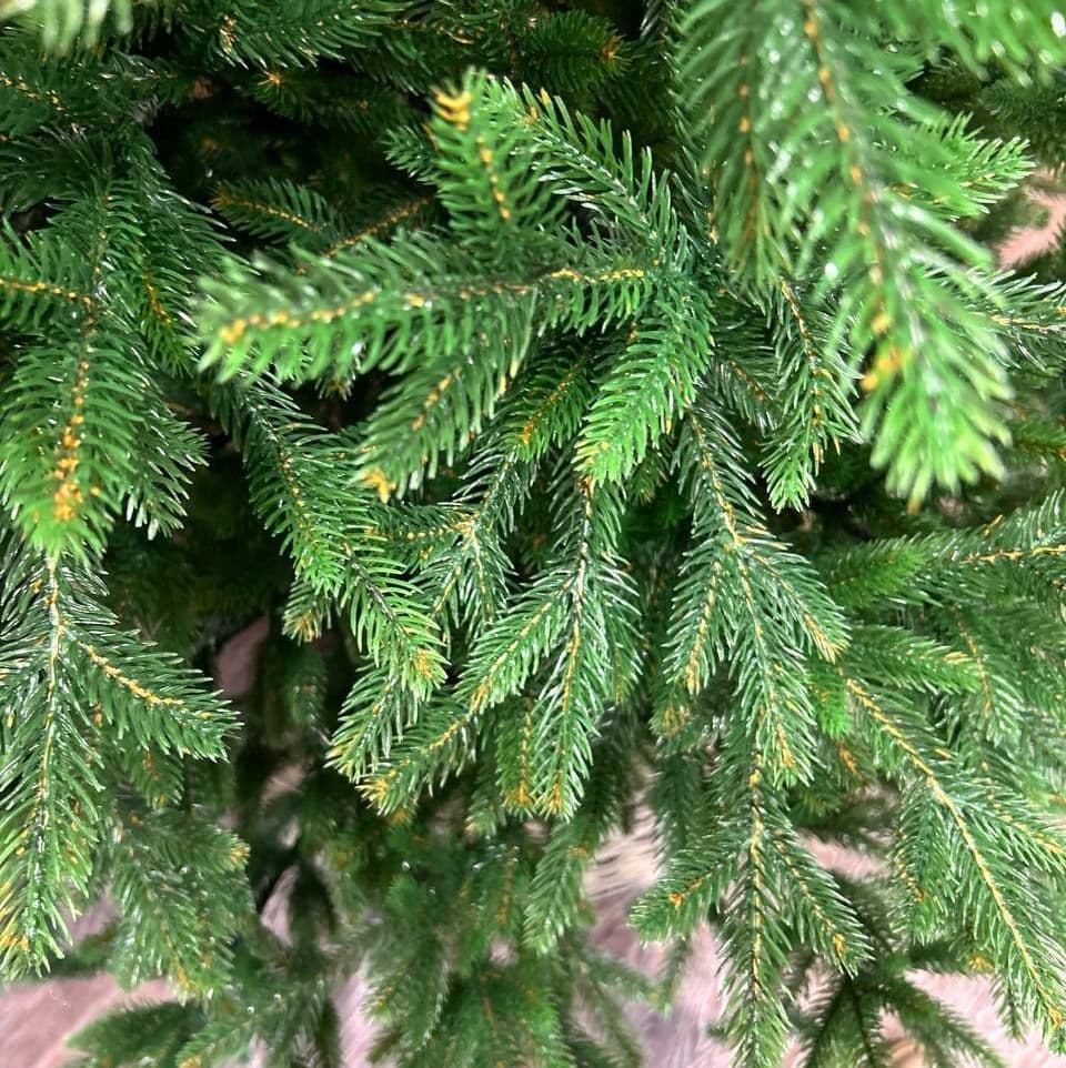 Купить Царская ГРАДИЕНТ