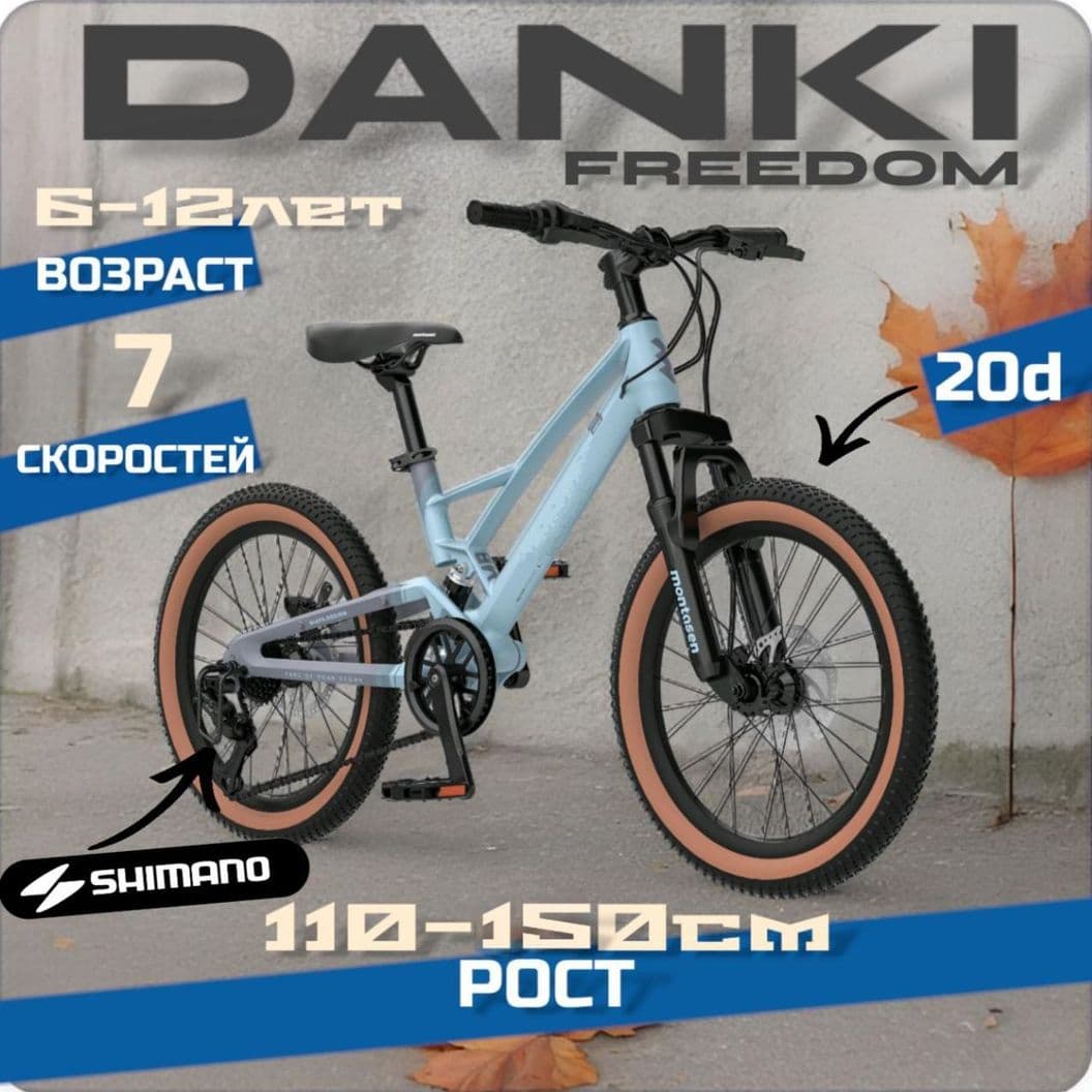 Купить Велосипед DANKI Freerdom Глогубой