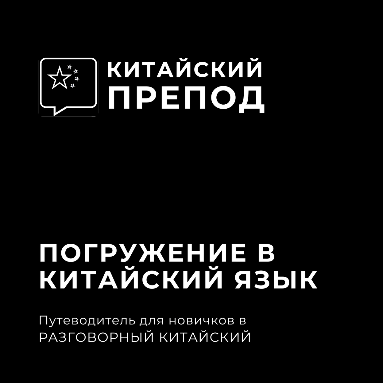 Купить Погружение в Китайский Язык (Обратная Связь)