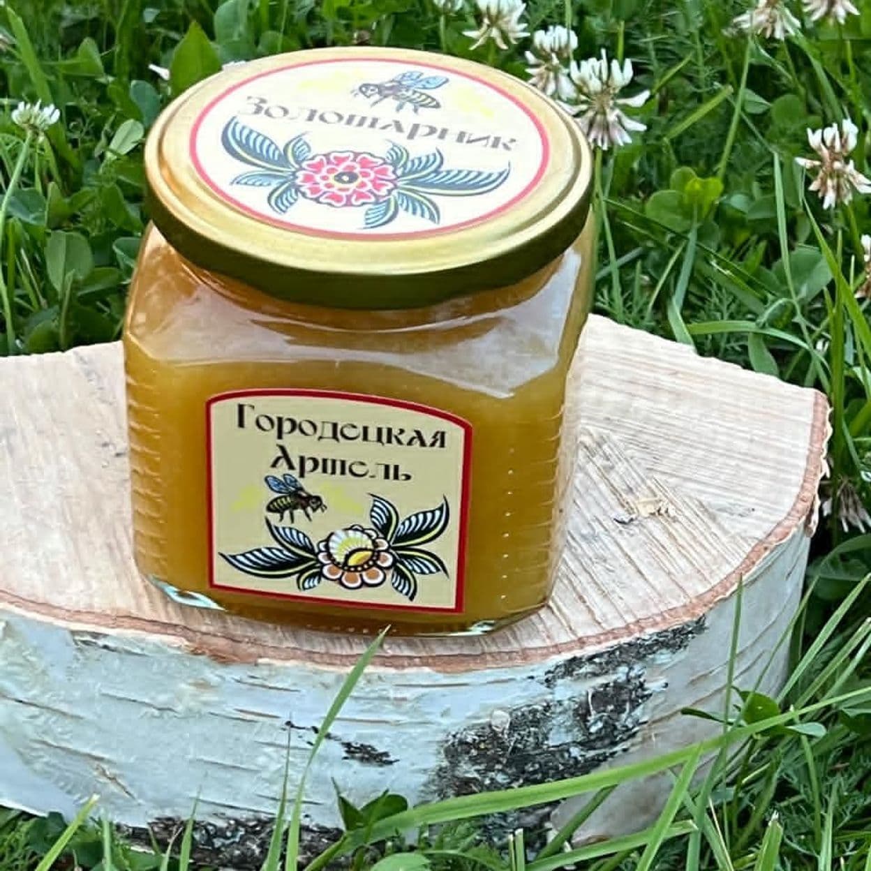 Купить Золотарниковый мёд