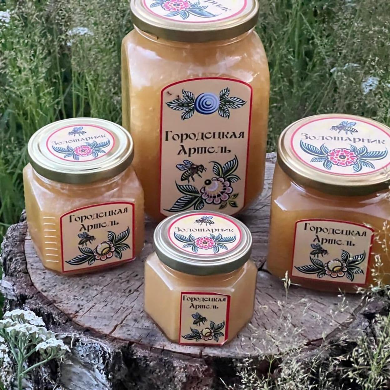 Купить Золотарниковый мёд