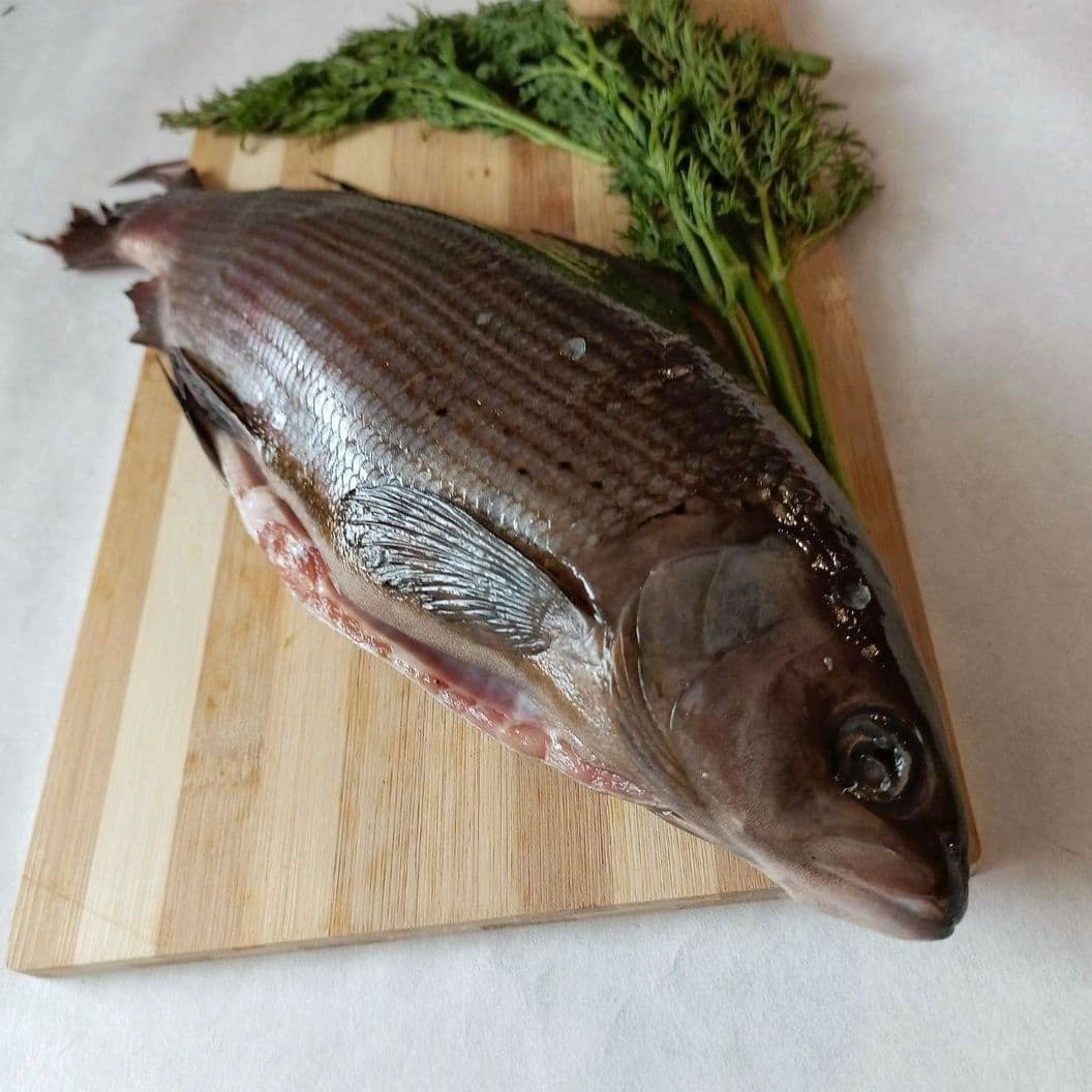 Купить Хариус слабой соли