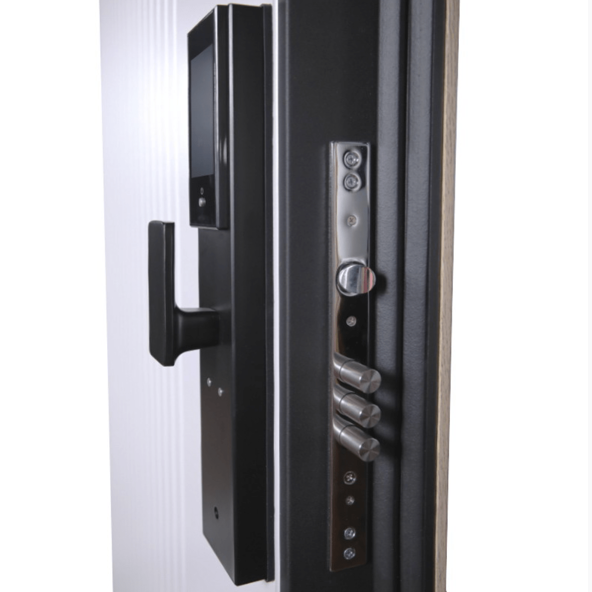 Купить Биометрический врезной дверной замок Smart lock DZ 888