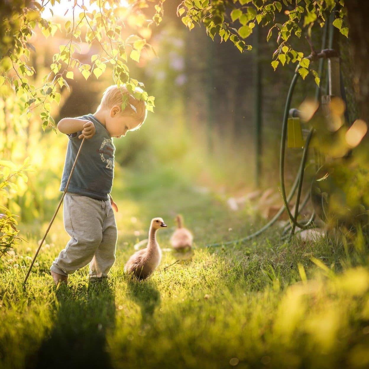 Купить 0 класс - абонемент на 1 мес. // 2024-2025