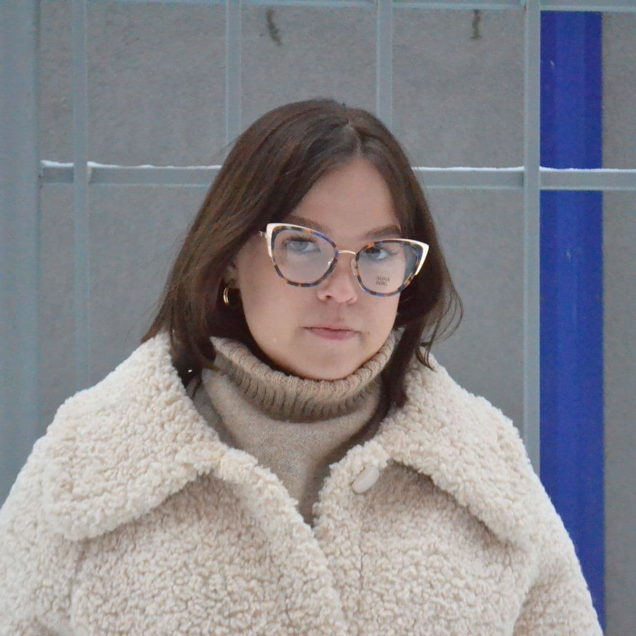 Купить ALINA BERG АВ-8185В С3