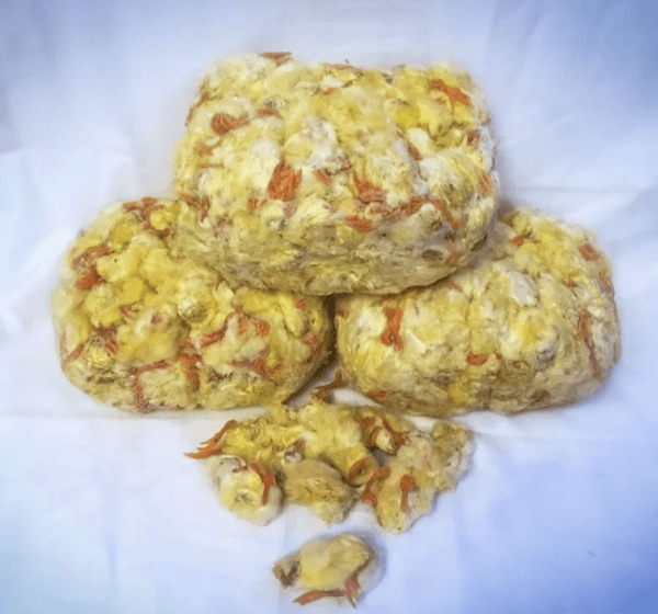 Купить Цыплята суточные, 1 кг