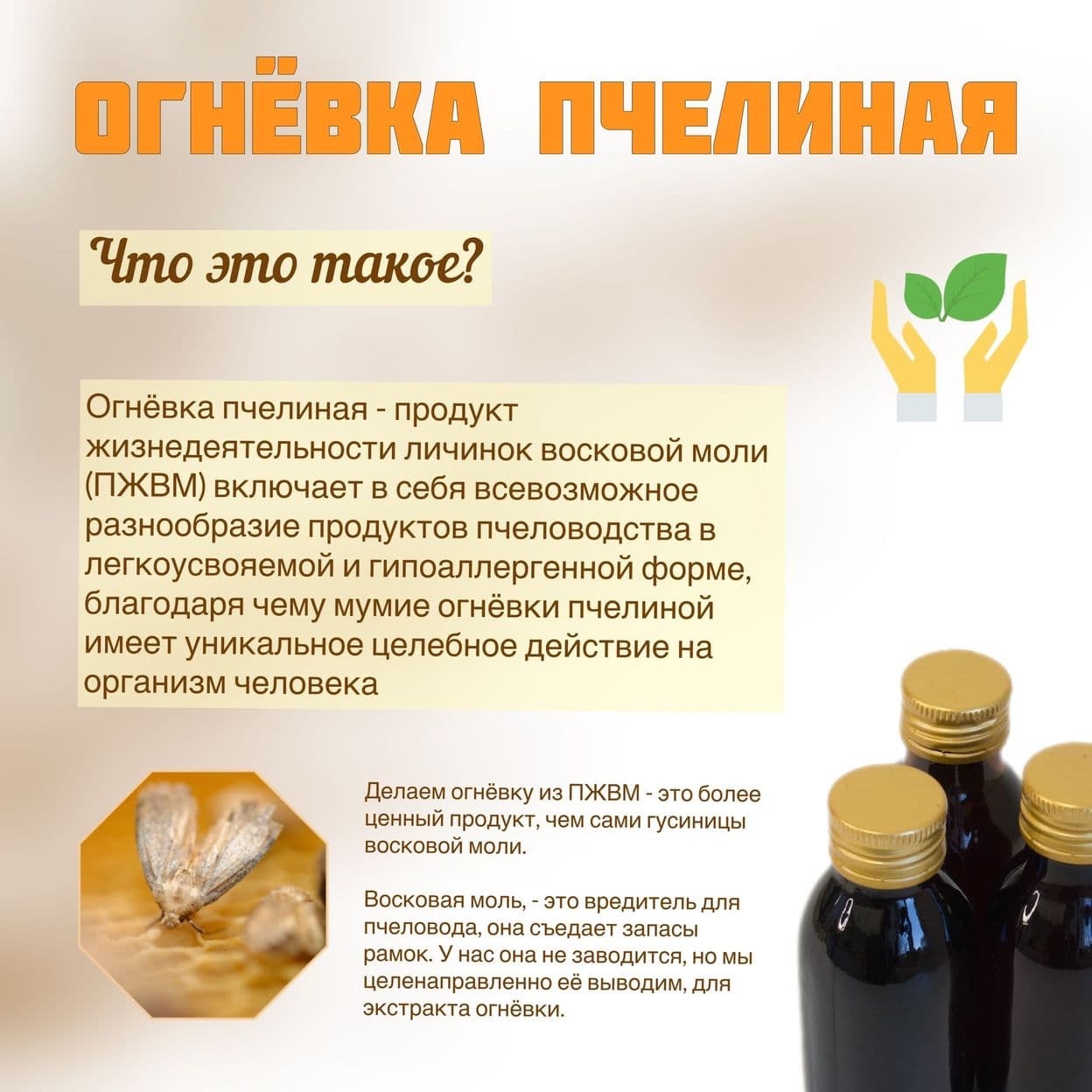 Купить Настойка восковой моли "Огнёвка" 100 мл