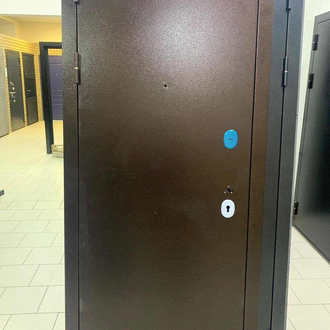 Купить Дверь входная "Триумф" медь, Витязь