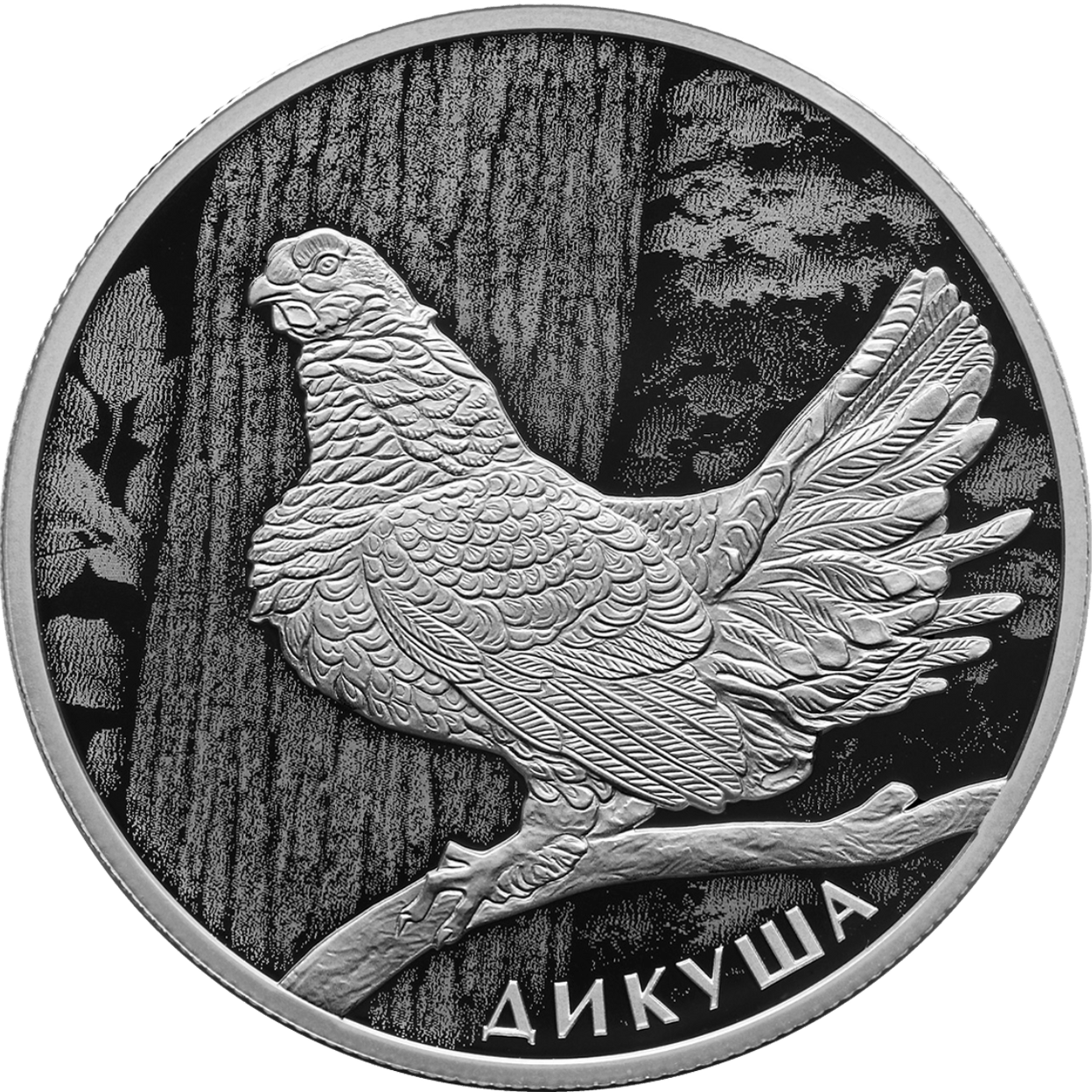 Купить Дикуша \ Т-Команда