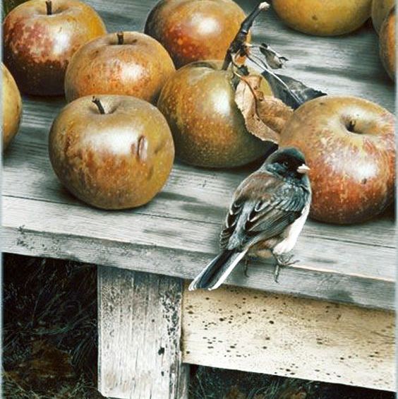 Купить Колье October