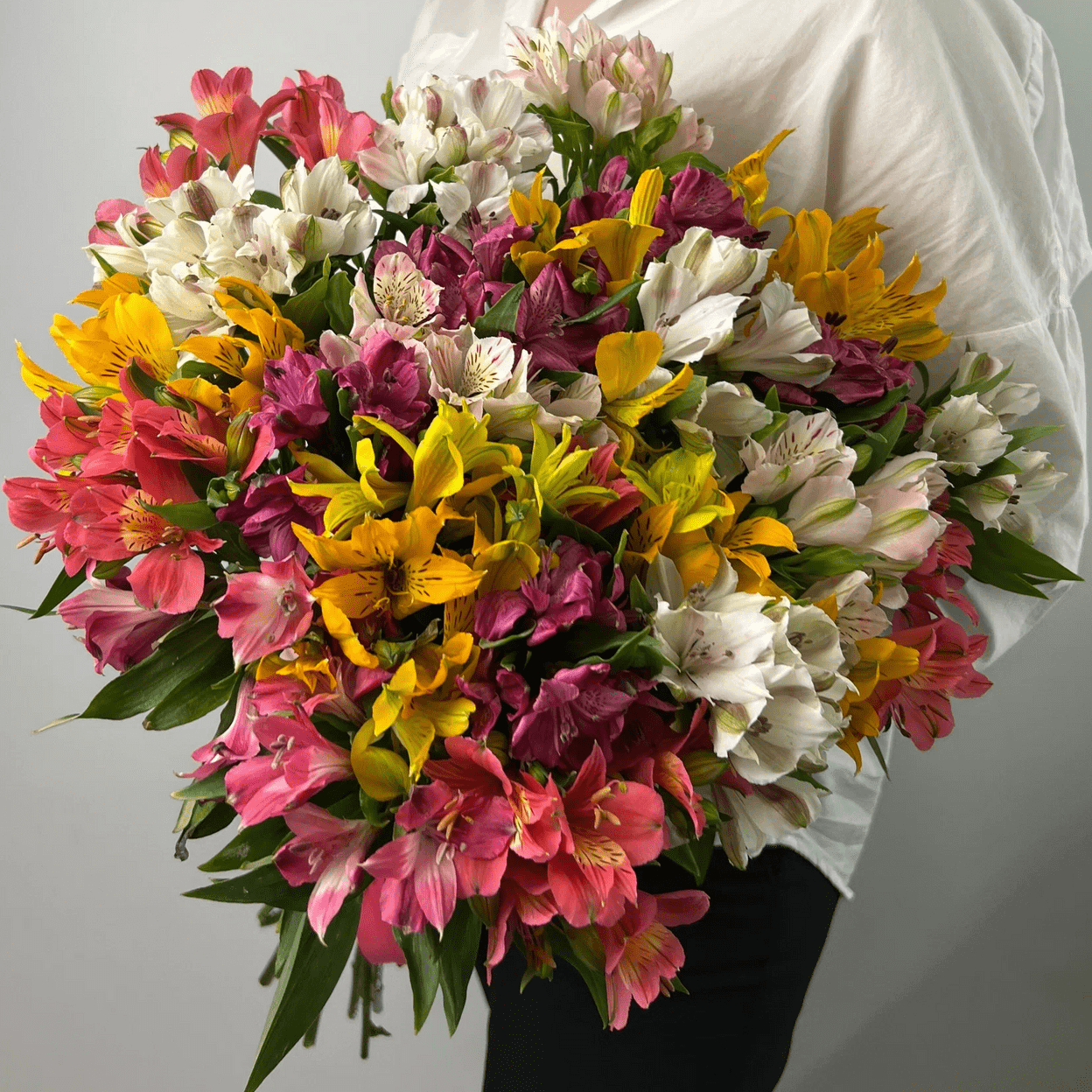 Купить Альстромерии