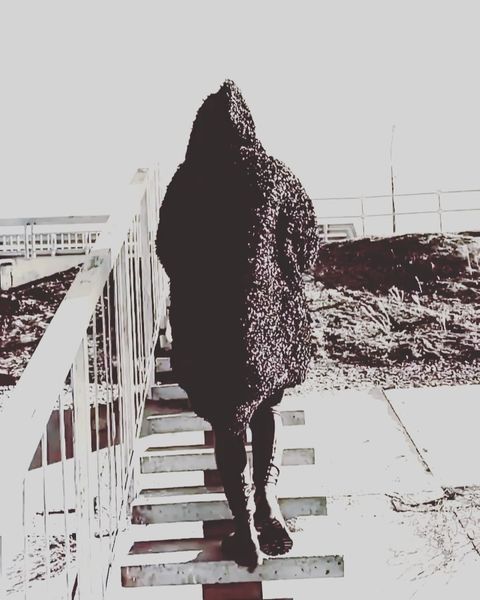 Купить Нет ни чего лучше удовлетворенности комфорта и уверенности