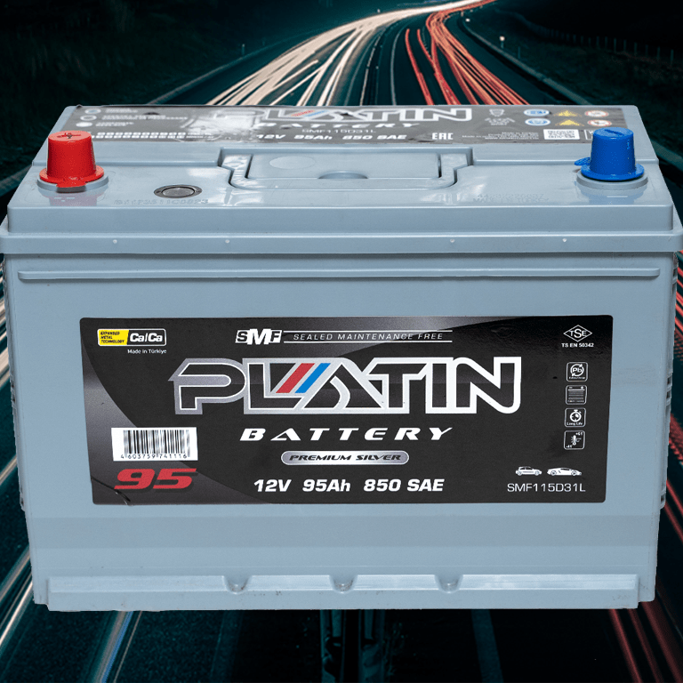 Купить АККУМУЛЯТОР PLATIN ASIASILVER 6CT-95