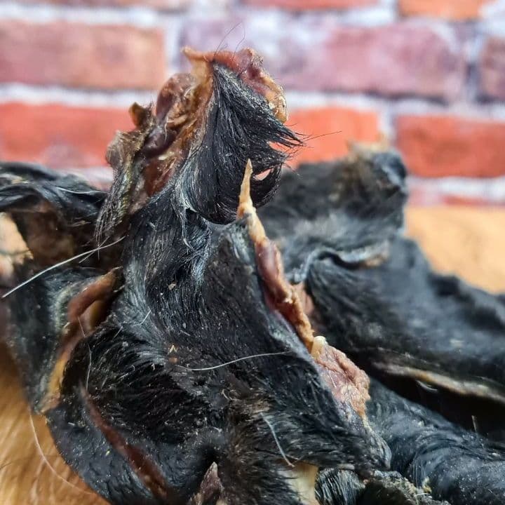 Купить Носогубы сушеные
