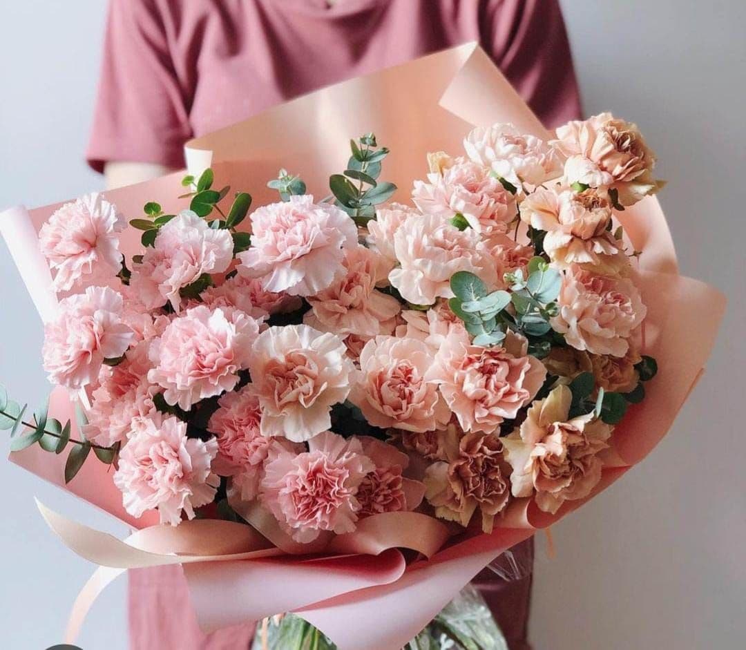 Купить Диантусы розового цвета  