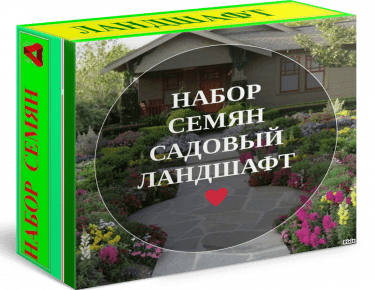Купить Набор семян