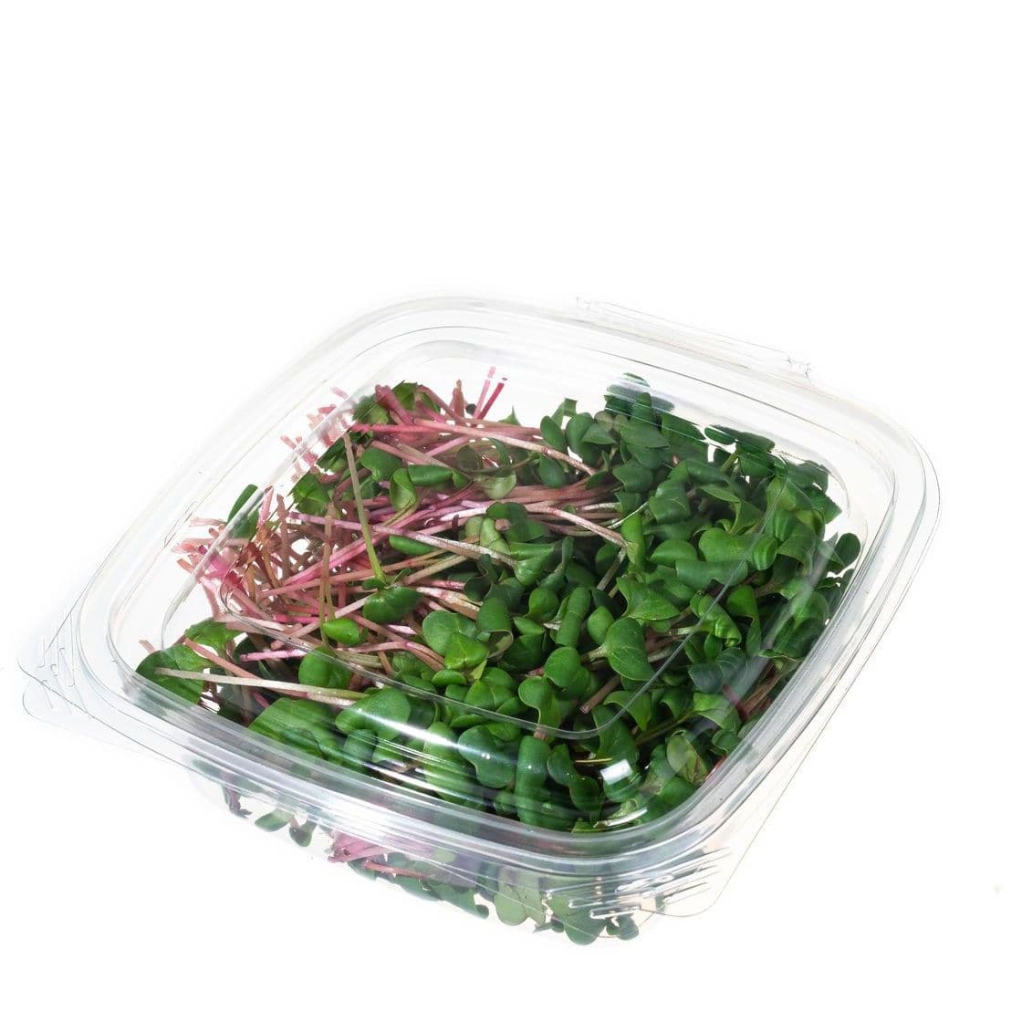 Купить Редис Красный Коралл