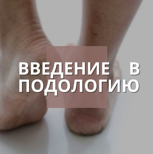 Купить Курс: введение в подологию