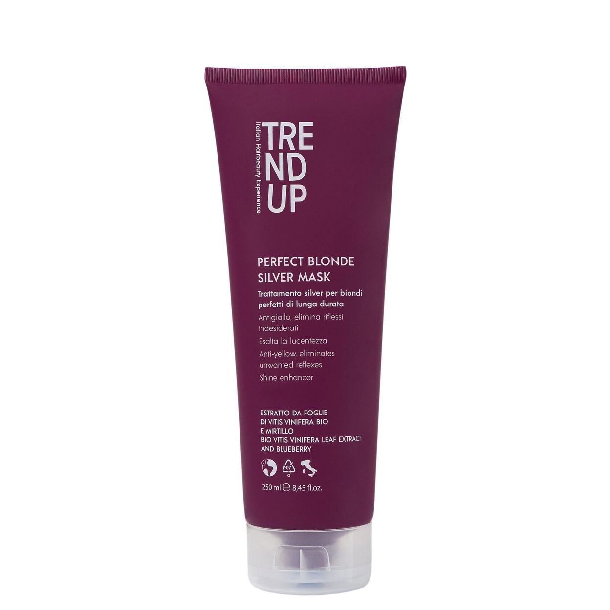 Купить Маска для светлых волос Trend Up Perfect Blonde Silver Mask, 250 мл
