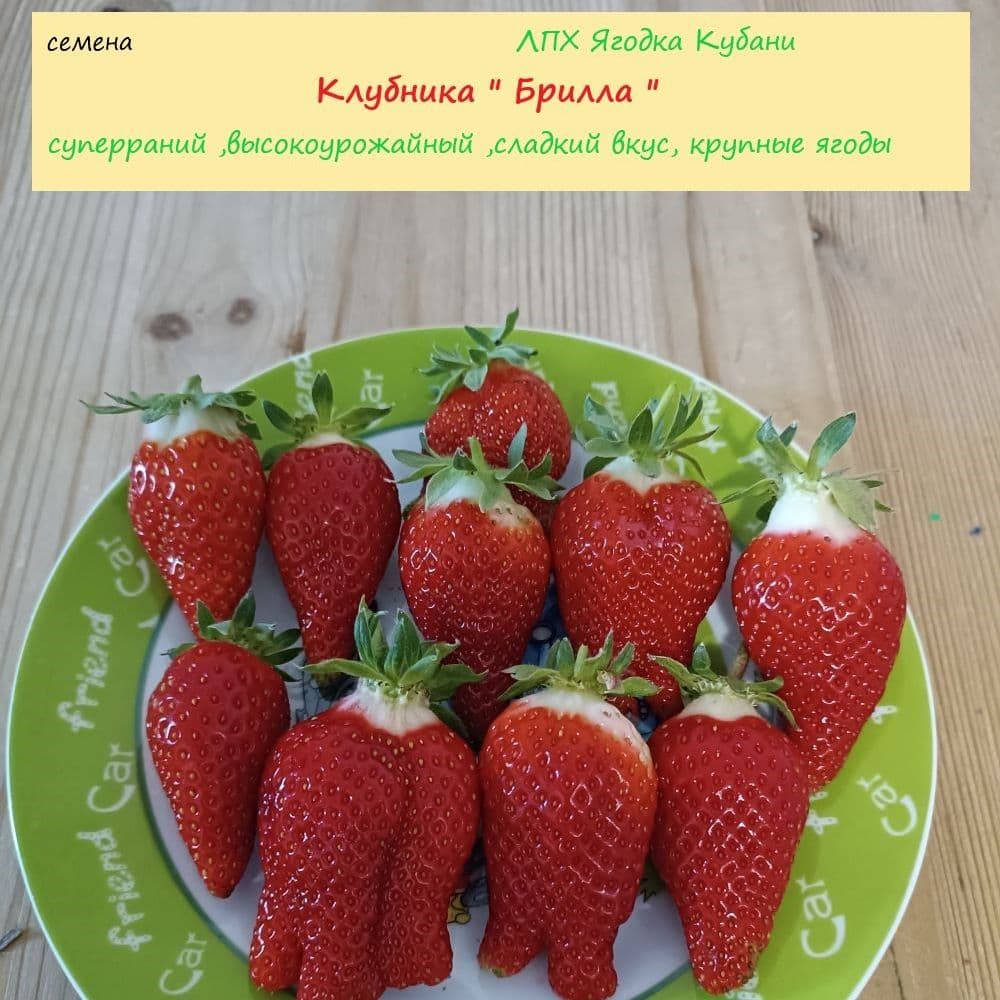 Купить Клубника " Брилла" семена 30 шт.