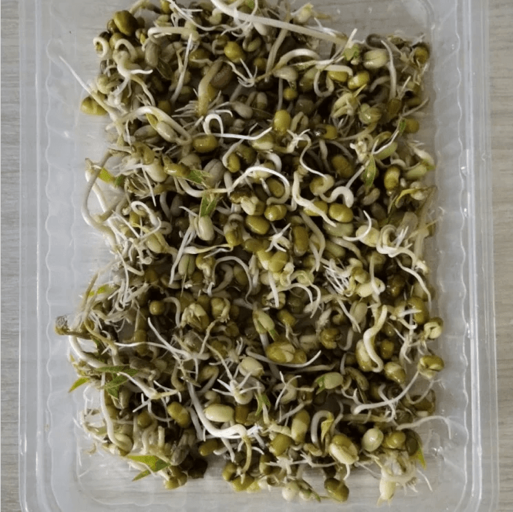 Купить Проростки маша